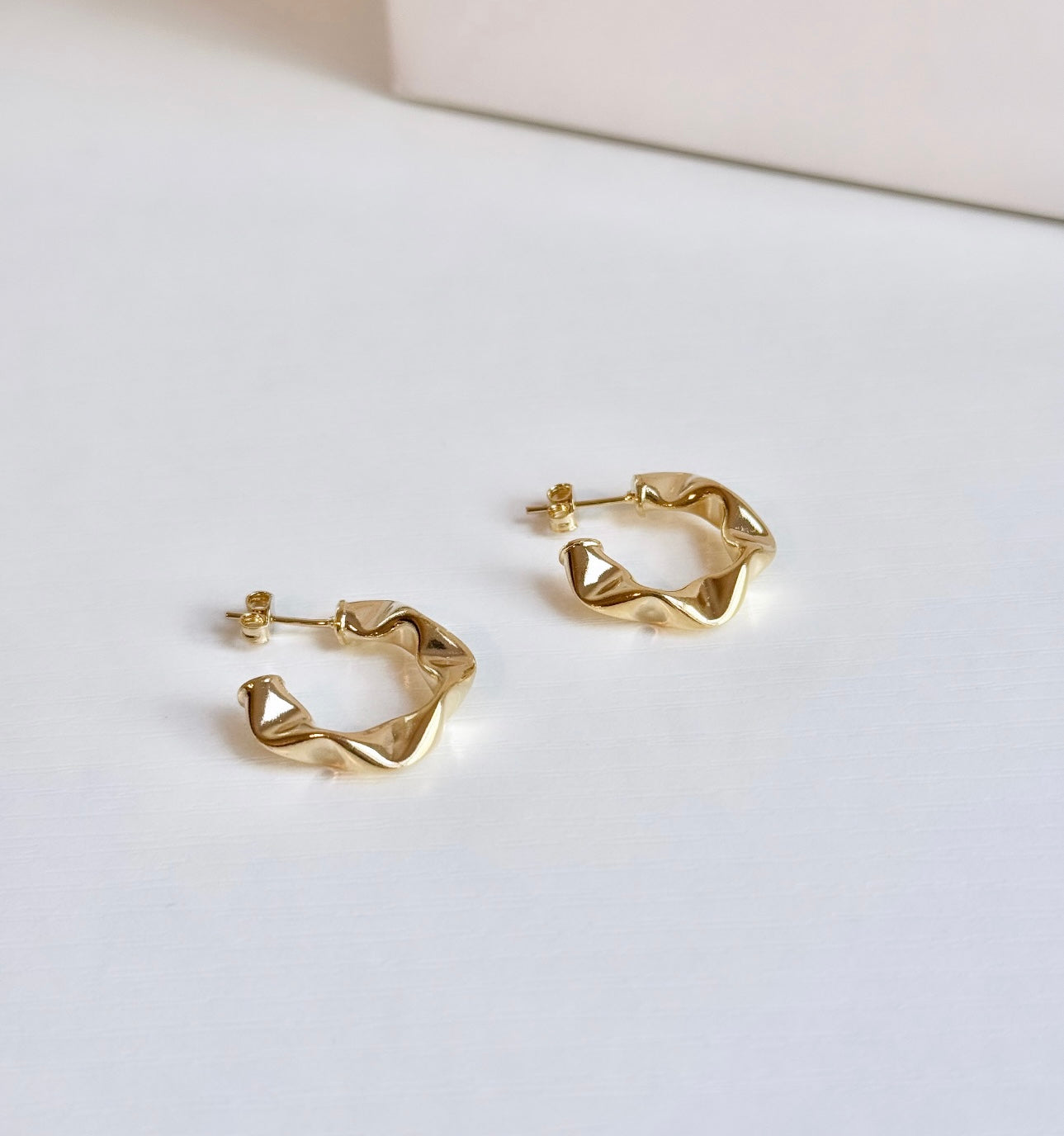Valeria Hoops