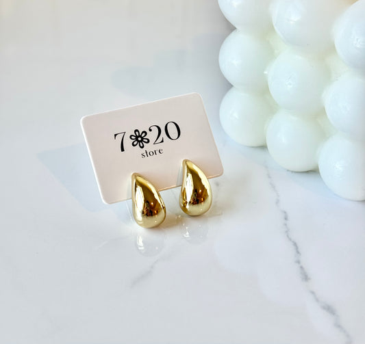 Small Drop Earrings