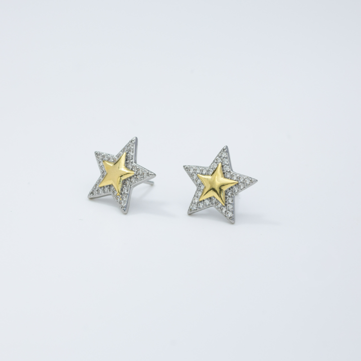 Silver & Gold Star Earring