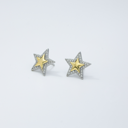 Silver & Gold Star Earring