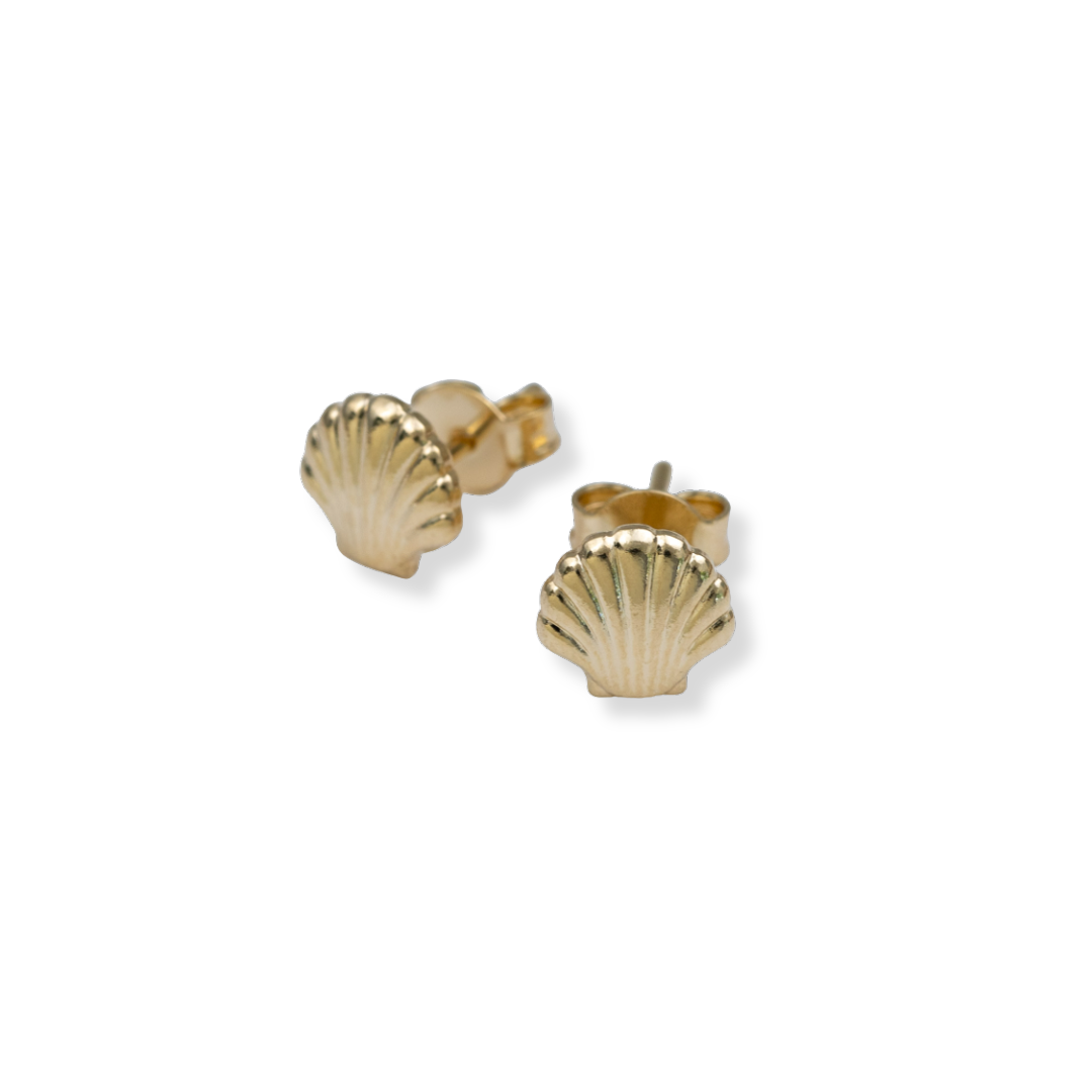 Shell Earrings